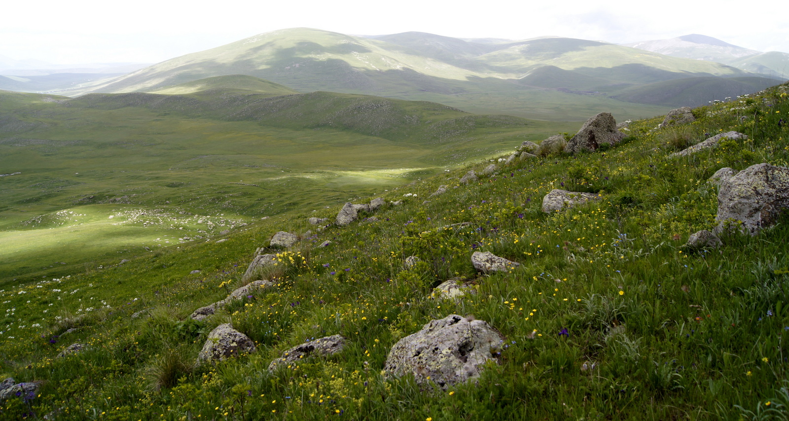 Bork, Hanak, Turkikye (1)